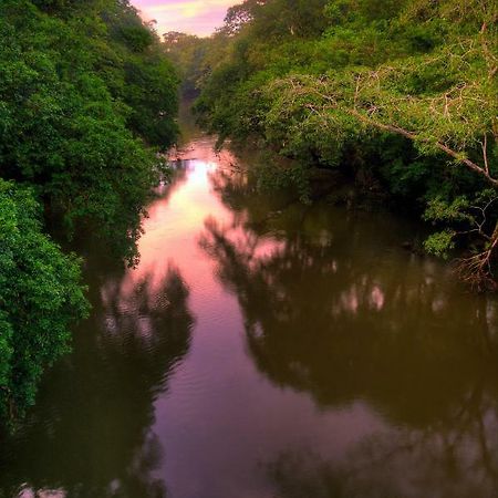 Hotel La Selva Biological Station Sarapiquí Esterno foto