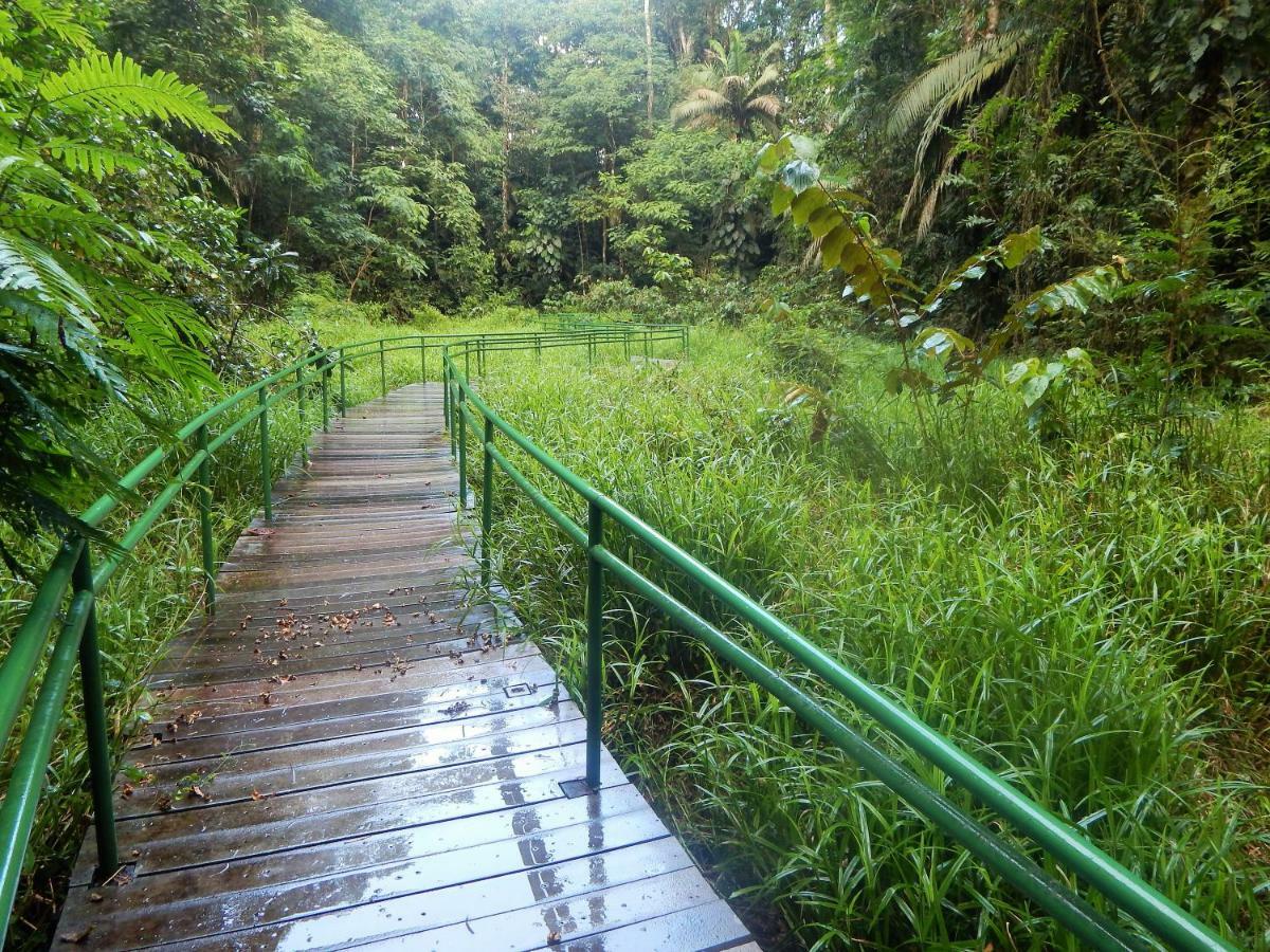 Hotel La Selva Biological Station Sarapiquí Esterno foto