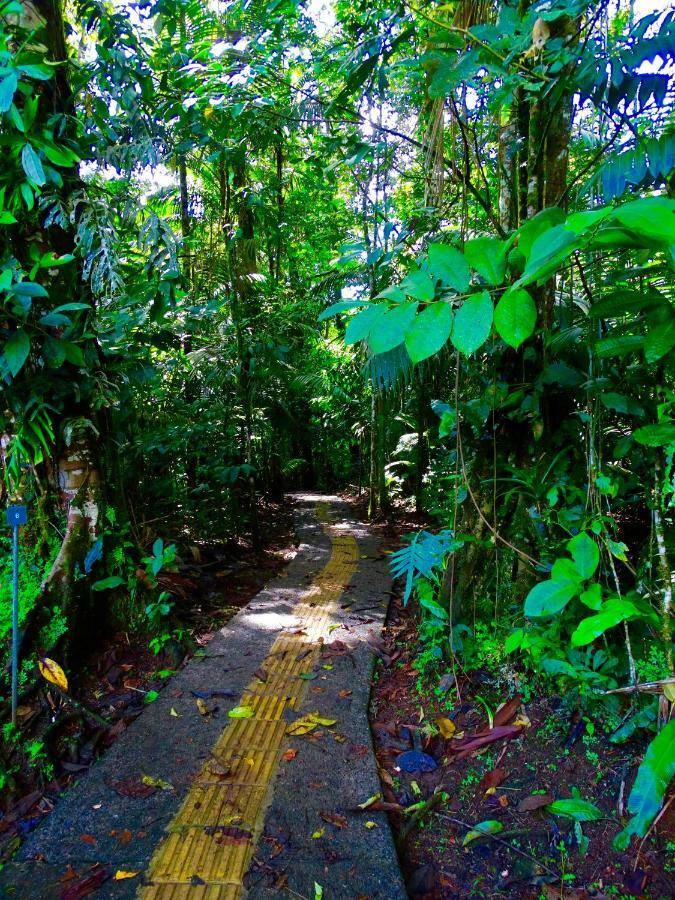 Hotel La Selva Biological Station Sarapiquí Esterno foto