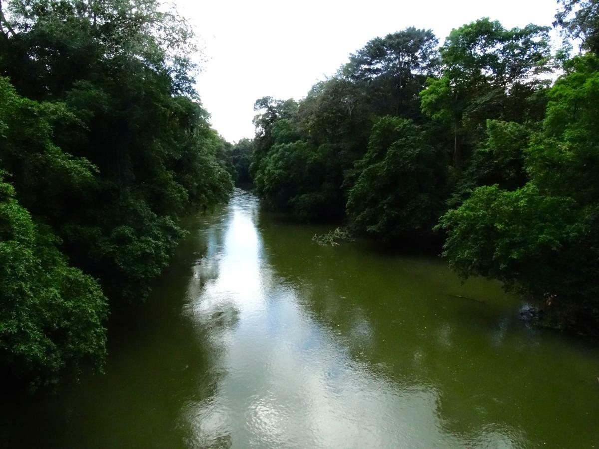 Hotel La Selva Biological Station Sarapiquí Esterno foto
