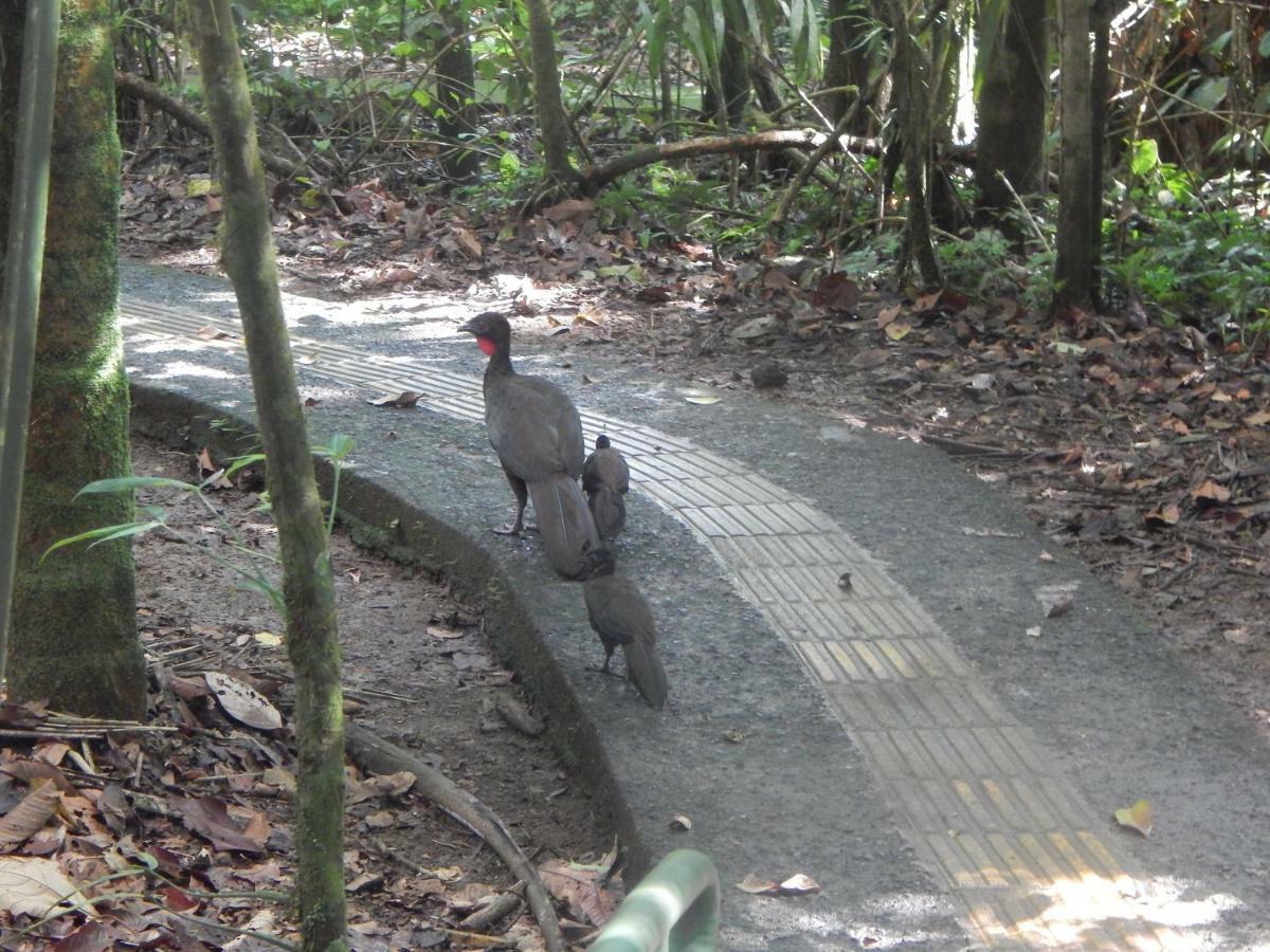 Hotel La Selva Biological Station Sarapiquí Esterno foto