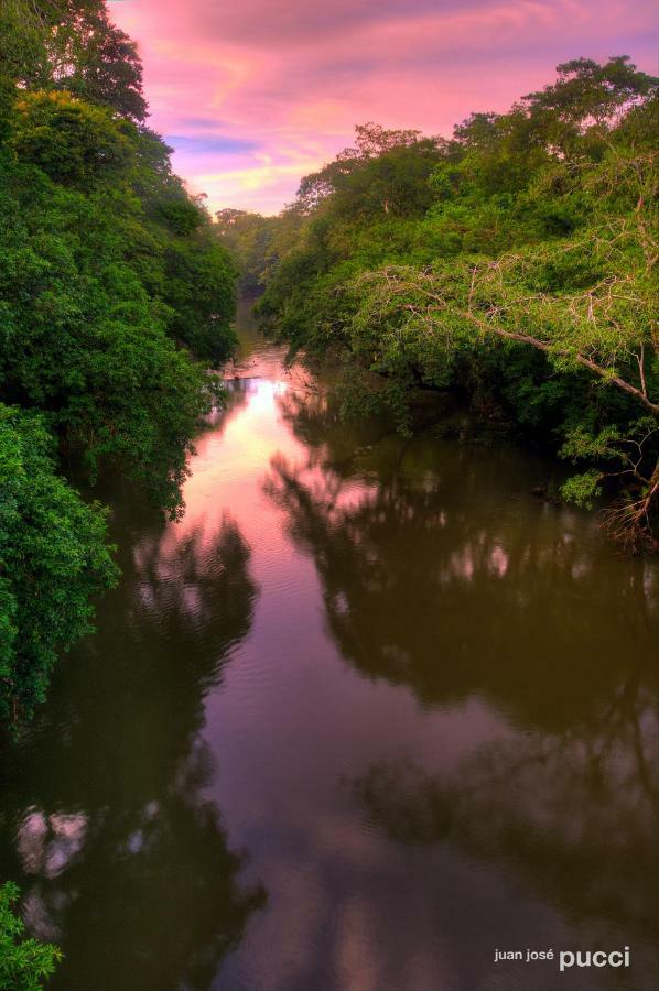Hotel La Selva Biological Station Sarapiquí Esterno foto