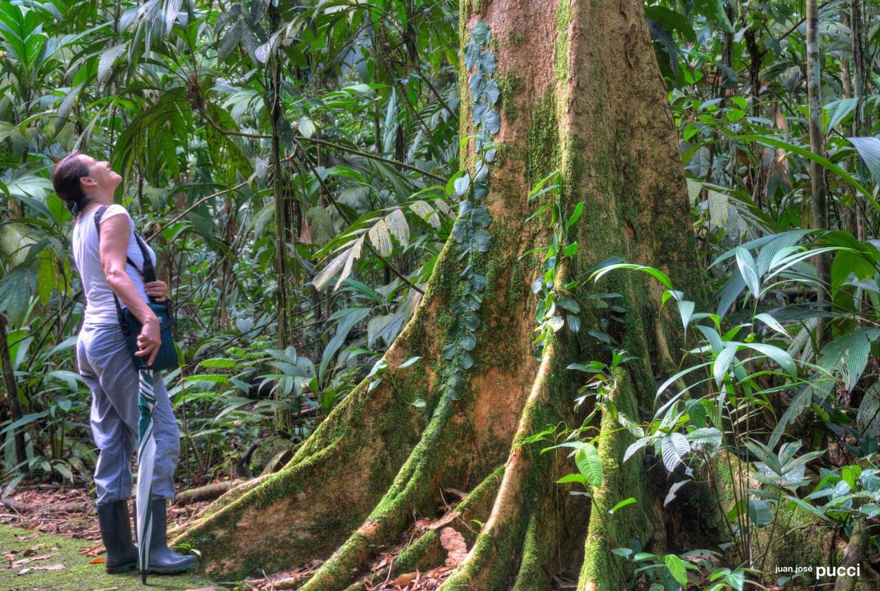 Hotel La Selva Biological Station Sarapiquí Esterno foto